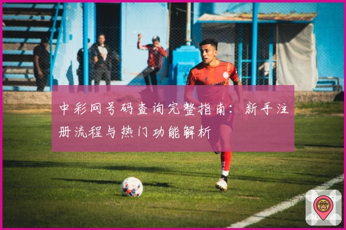 中彩网号码查询完整指南：新手注册流程与热门功能解析
