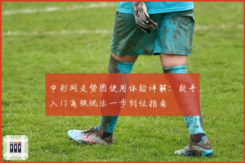 中彩网走势图使用体验详解：新手入门高级玩法一步到位指南