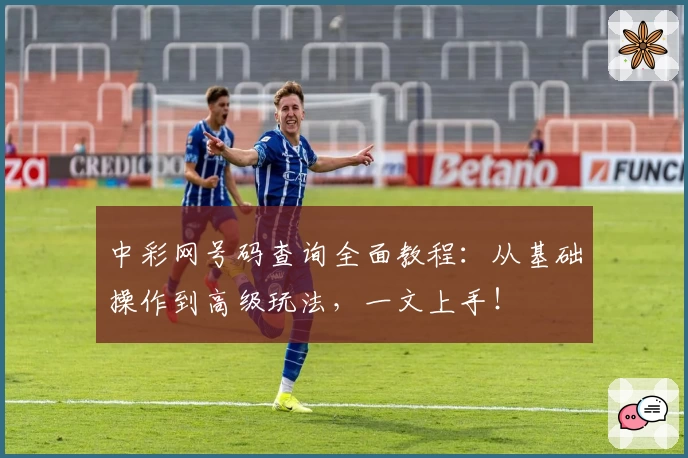 中彩网号码查询全面教程：从基础操作到高级玩法，一文上手！