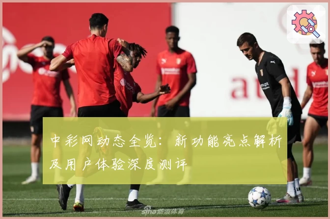 中彩网动态全览：新功能亮点解析及用户体验深度测评