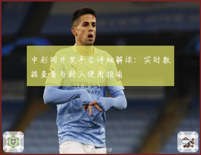 中彩网开奖平台详细解读：实时数据查看与新人使用指南
