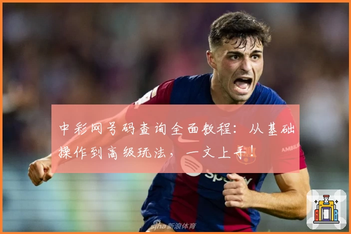 中彩网号码查询全面教程：从基础操作到高级玩法，一文上手！