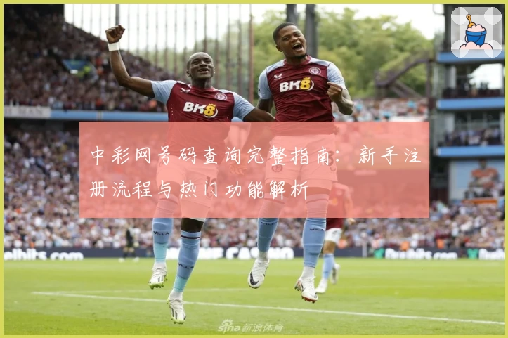 中彩网号码查询完整指南：新手注册流程与热门功能解析