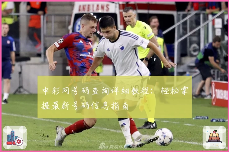 中彩网号码查询详细教程：轻松掌握最新号码信息指南