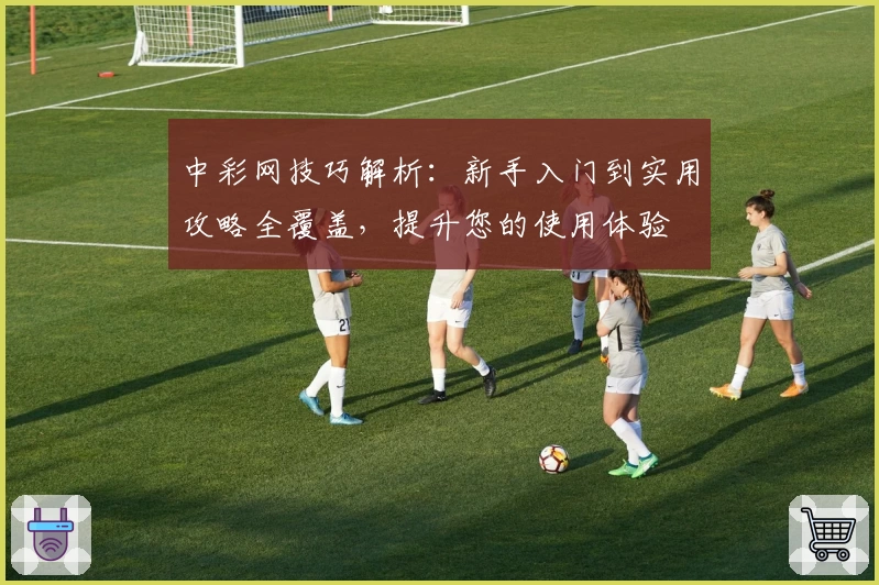 中彩网技巧解析：新手入门到实用攻略全覆盖，提升您的使用体验